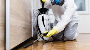 Professional Pest Control in Rancho Viejo, TX